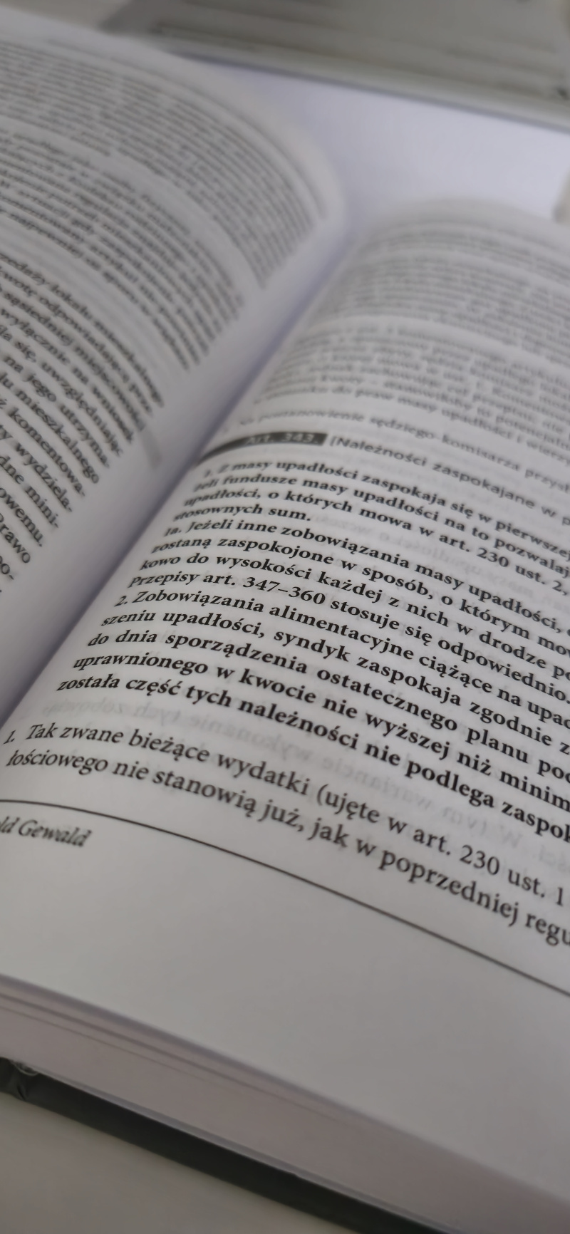 Alimenty a upadłość konsumencka Gliwice 1 grudnia 2024